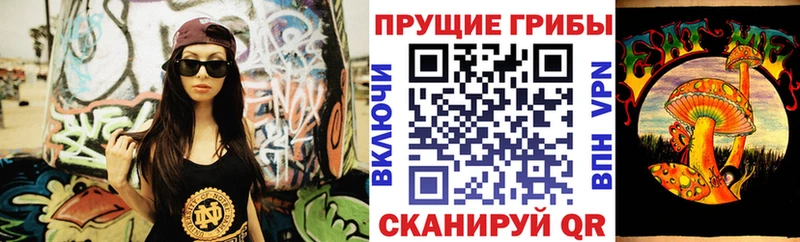 Купить  Спасск-Дальний  Галлюциногенные грибы Psilocybe 